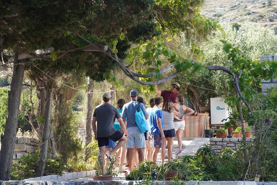 Naxos: Kampos Farm Sea Kayak Tour with Snorkeling & Picnic - Finishing at St. John Beach