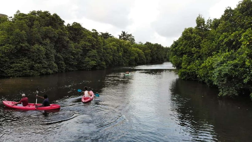 Negombo: Guided Kayaking Tour in the Lagoon - Why Negombo Lagoon is worth seeing by kayak