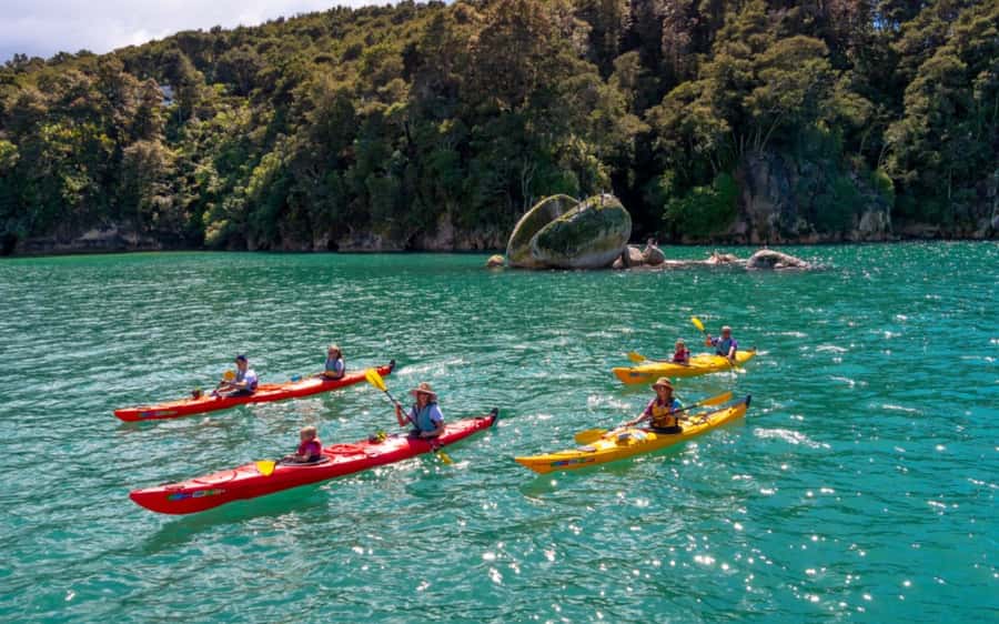 Nelson: Abel Tasman Kayaking & Great Taste Trail Bike Tour - Key points to know before booking