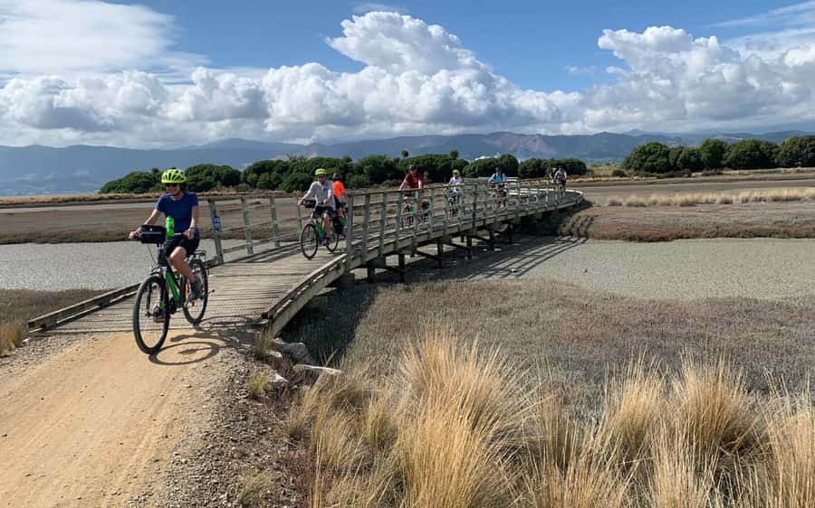 Nelson: Abel Tasman Kayaking & Great Taste Trail Bike Tour - A beach picnic on golden sand
