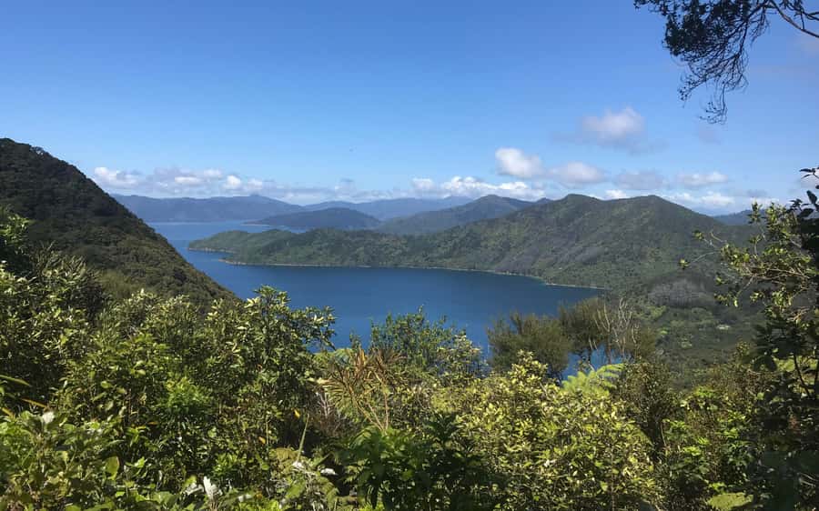 Nelson: Abel Tasman Kayaking & Great Taste Trail Bike Tour - The tough opening of the Great Taste Trail