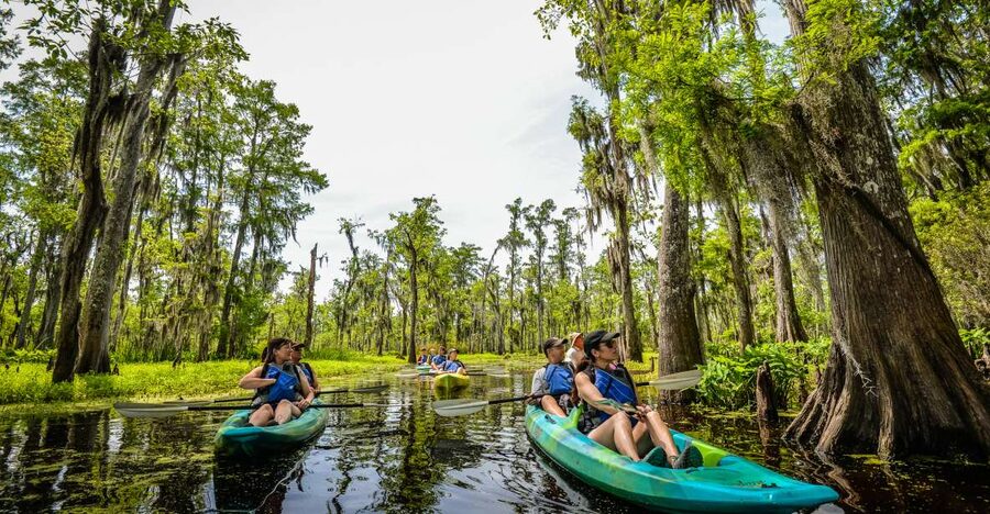 New Orleans: Manchac Magic Kayak Swamp Tour - Why Manchac is worth leaving New Orleans for