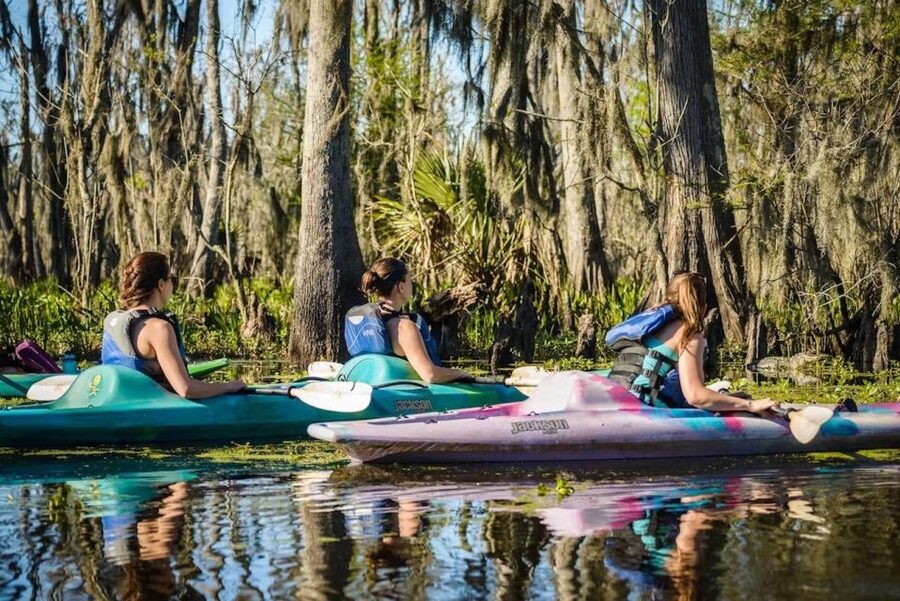 New Orleans: Manchac Magic Kayak Swamp Tour - The guides add the real value