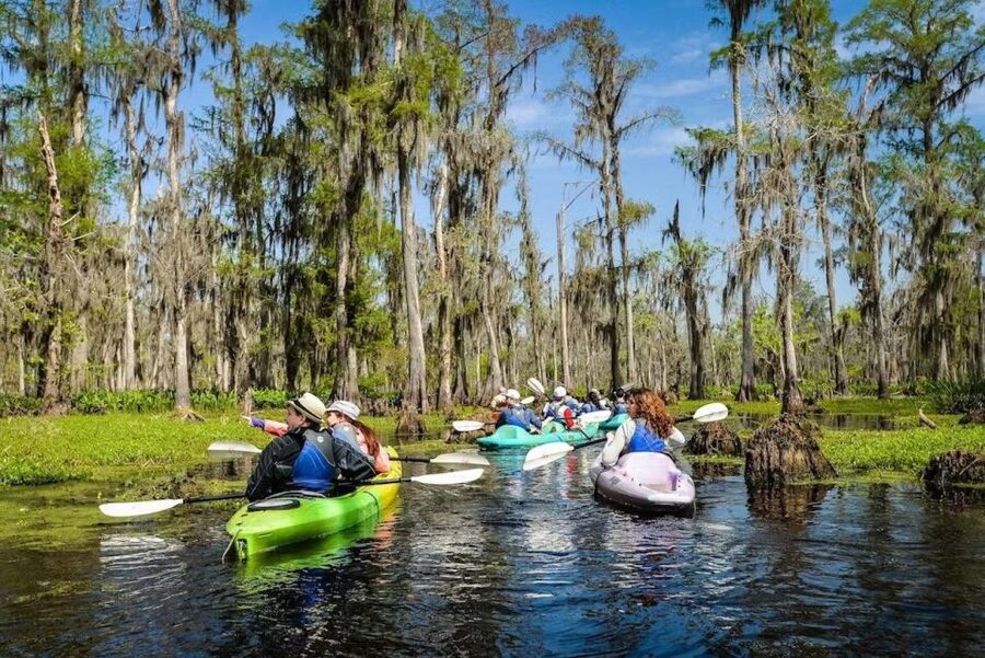 New Orleans: Manchac Magic Kayak Swamp Tour - Getting from 732 N Rampart Street to the bayou