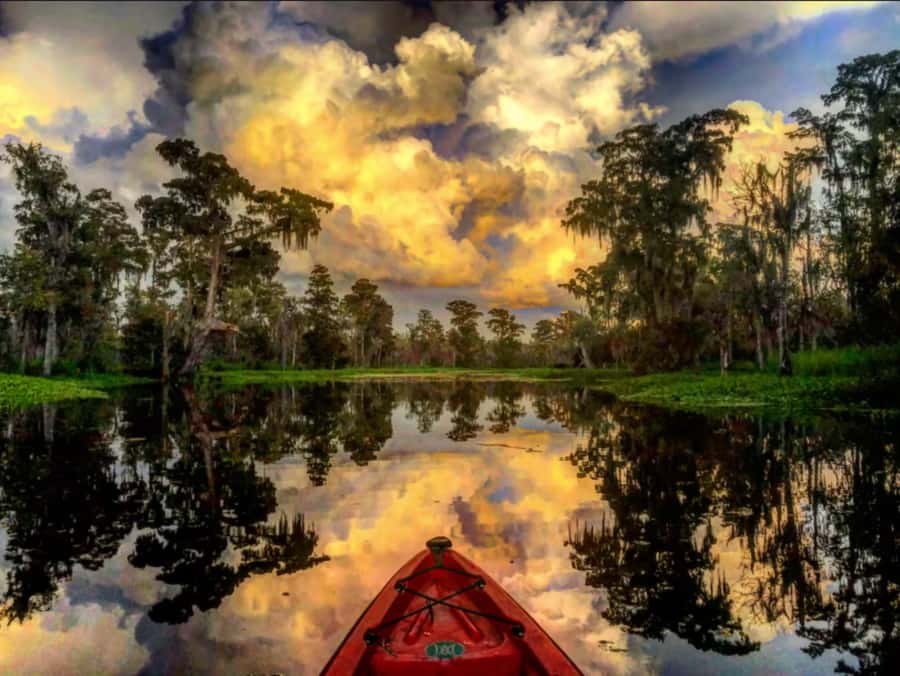 New Orleans: Manchac Swamp Wildlife Kayaking Tour - Leaving New Orleans for the Manchac and Maurepas swamps