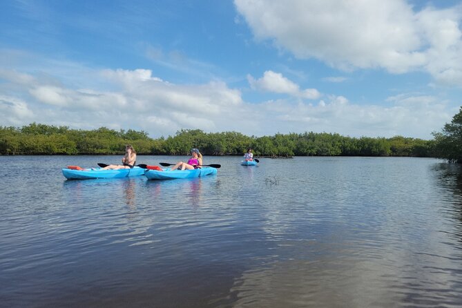 New Smyrna Dolphin and Manatee Kayak and SUP Adventure Tour - Choosing between a kayak and a paddleboard