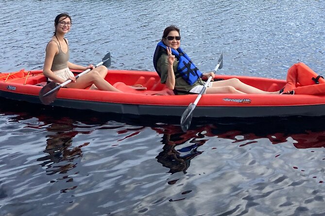 New Smyrna Dolphin and Manatee Kayak and SUP Adventure Tour - What the guides add to the experience