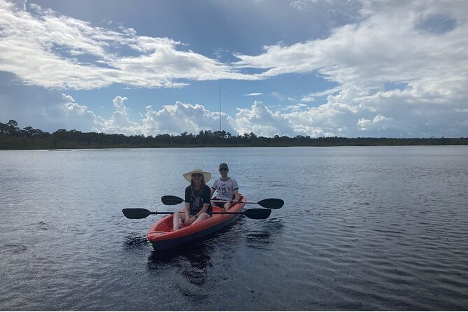 New Smyrna Dolphin and Manatee Kayak and SUP Adventure Tour - How relaxing, scenic, and active is it?