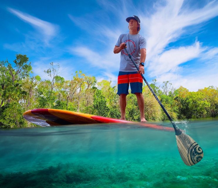 New Smyrna: Half-Day Guided SUP or Kayak Waterways Tour - The first lesson: paddleboard or kayak