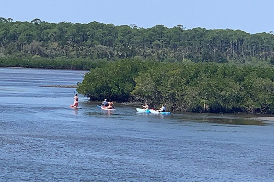 New Smyrna: Half-Day Guided SUP or Kayak Waterways Tour - Island stops break up the two-hour route