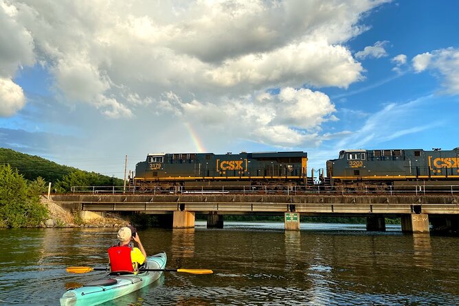 Nickajack Bat Cave Kayak Tour with Chattanooga Guided Adventures - The Bat Emergence: Spectacular, But Not Guaranteed