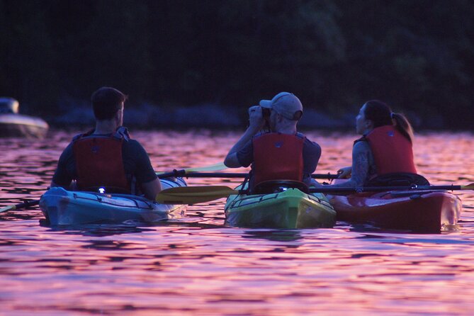 Nickajack Bat Cave Kayak Tour with Chattanooga Guided Adventures - Equipment, Effort, and Comfort on the Water