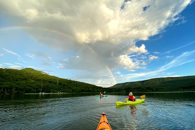 Nickajack Bat Cave Kayak Tour with Chattanooga Guided Adventures - Learning Why Gray Bats Matter