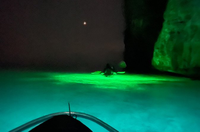 Night Kayaking with Liquid Glow - Who will enjoy this most