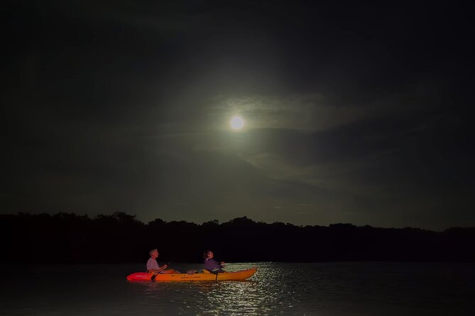 Night Mangrove Kayak Tour - Meeting Lac Bay at 7 p.m.