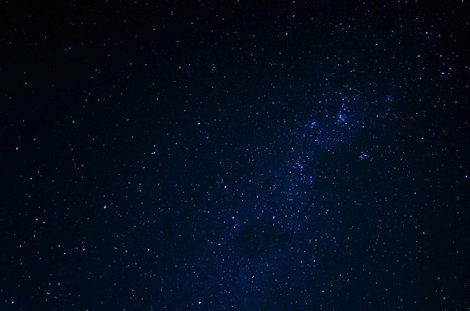 Night Mangrove Kayak Tour - The glow beneath your paddle