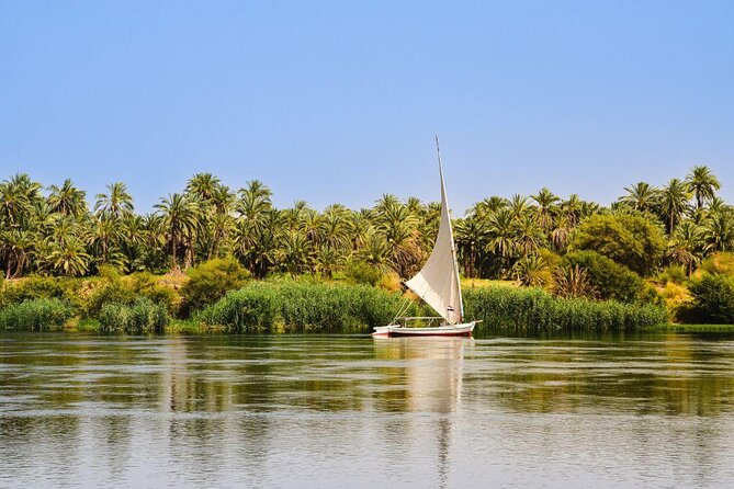 Nile River Kayaking in Cairo with Instructor - Key Things to Know Before You Paddle