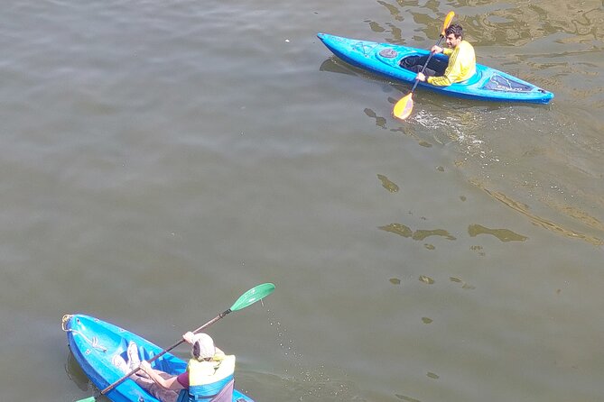 Nile River Kayaking in Cairo with Instructor - A Short Break from Cairo’s Heat and Noise