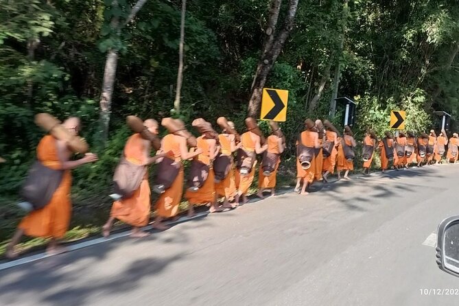 No1. Chiang Mai City Hiking, Biking & Kayaking Triathalon - Wat Pha Lat, Chiang Mai’s forest temple
