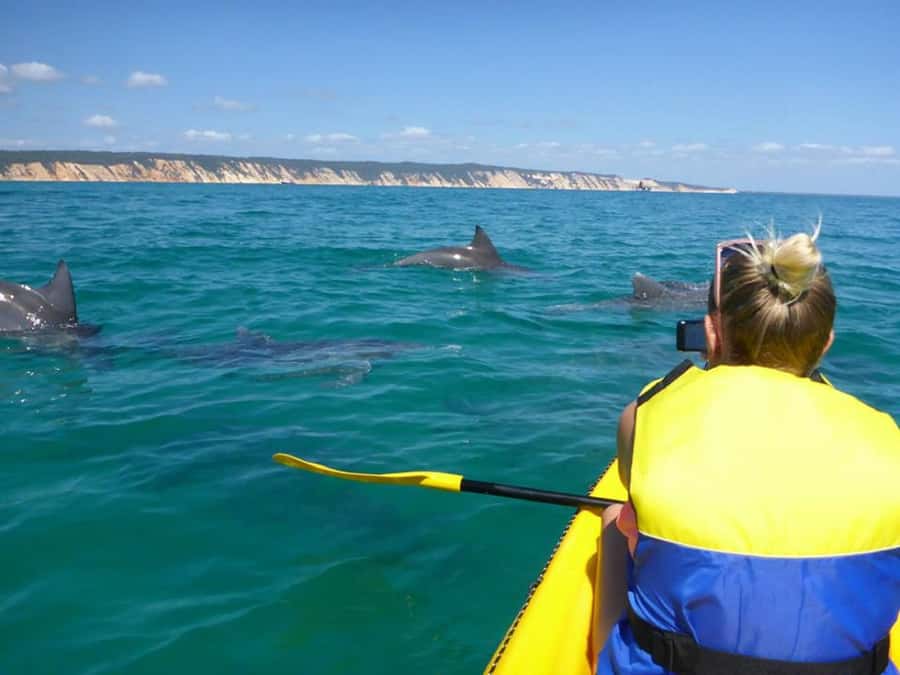Noosa: Epic Ocean Kayak with Dolphins & 4WD Beach Adventure - The day begins at The J in Noosa