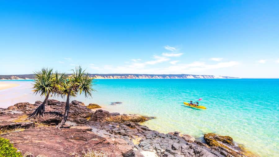 Noosa: Epic Ocean Kayak with Dolphins & 4WD Beach Adventure - What you may see from the kayak