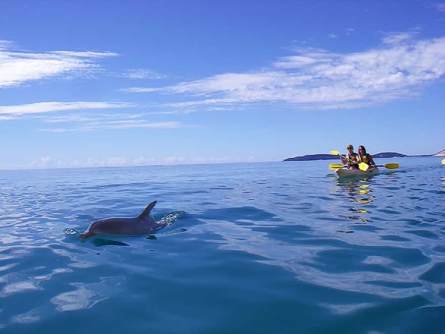 Noosa: Epic Ocean Kayak with Dolphins & 4WD Beach Adventure - How strenuous is the kayaking?