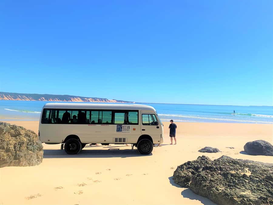 Noosa: Epic Ocean Kayak with Dolphins & 4WD Beach Adventure - Families, beginners, and solo participants