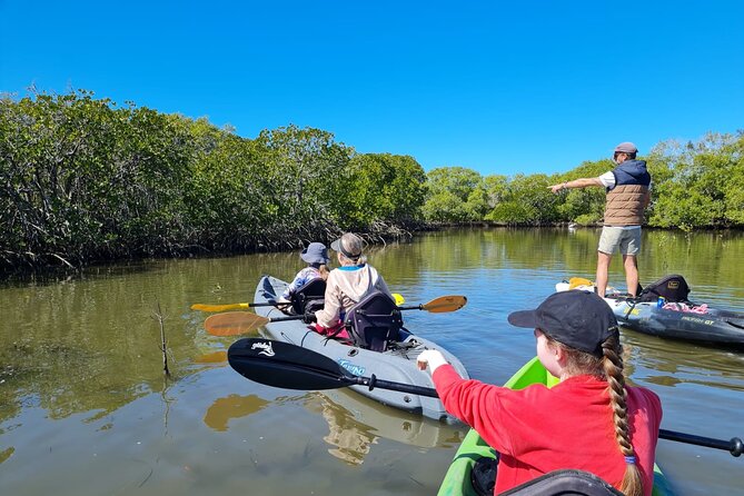Noosa Everglade Kayak -South/Noosa End - Searching for Stingrays! - Key things to know before you book
