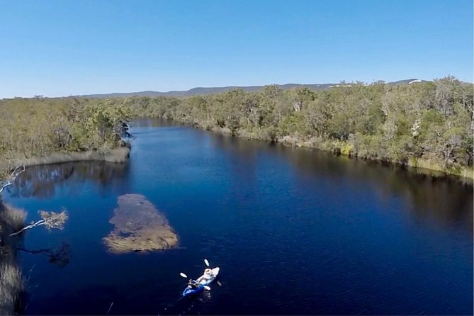 Noosa Everglade Kayak -South/Noosa End - Searching for Stingrays! - Is $56.66 good value?