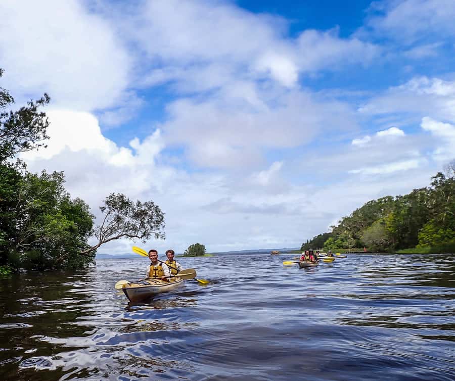 Noosa Everglades: Truly Sustainable Self Guided KAYAK Tour - Why the Noosa Everglades are best seen by kayak