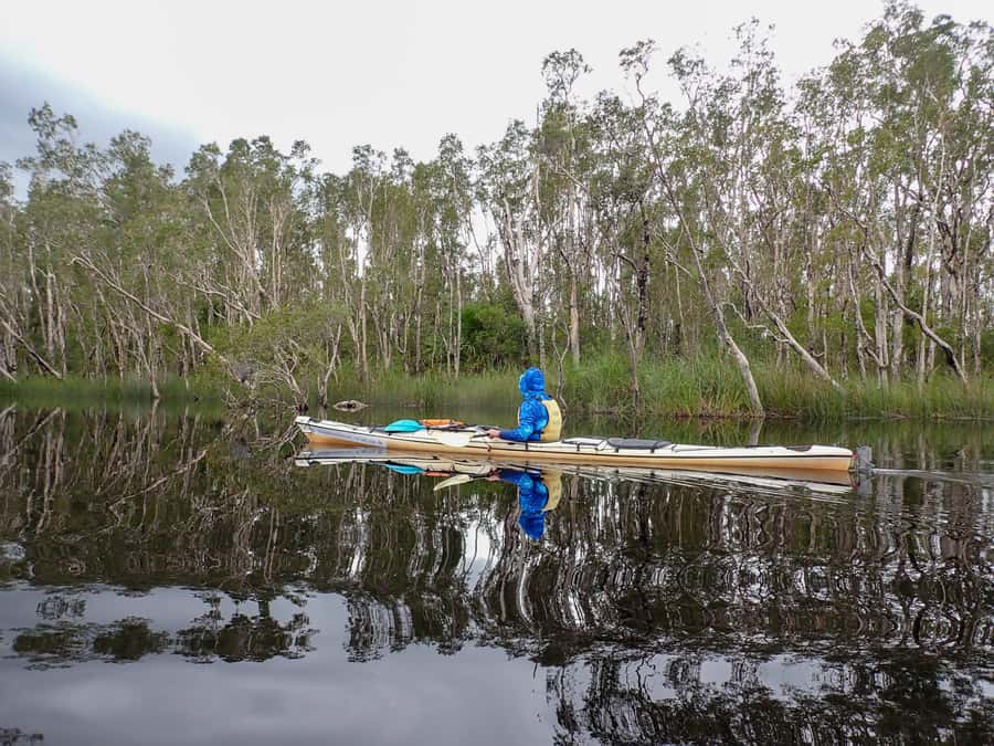 Noosa Everglades: Truly Sustainable Self Guided KAYAK Tour - The briefing gives you freedom without guesswork