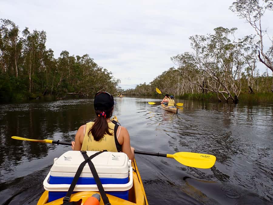 Noosa Everglades: Truly Sustainable Self Guided KAYAK Tour - The sustainability promise has practical substance