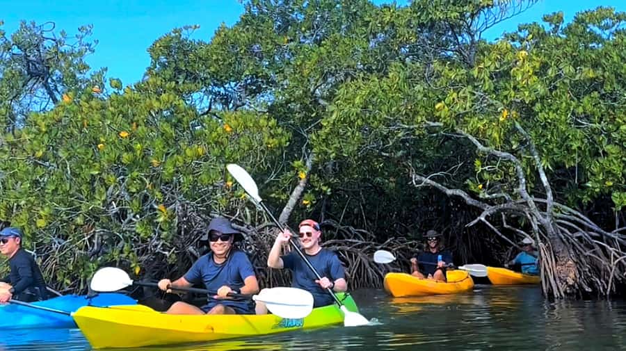 Noosa Heads: Hidden Waterways Wildlife Kayak (Fully Guided) - Why Weyba Creek makes a good Noosa outing