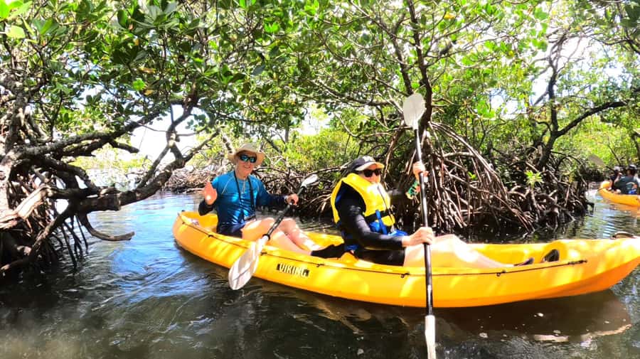 Noosa Heads: Hidden Waterways Wildlife Kayak (Fully Guided) - The first 30 minutes: welcome and safety