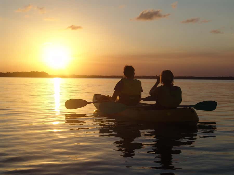 Noosa Heads: Hidden Waterways Wildlife Kayak (Self-Guided) - Looking for Stingrays in Weyba