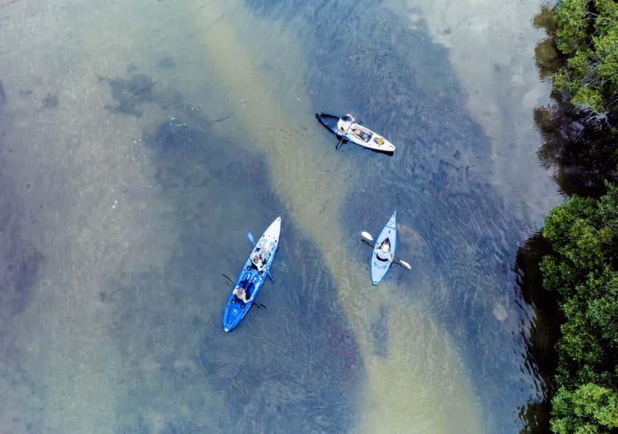 Noosa: Noosa Everglades and Stingray Sanctuary Kayak Tour - Key Points To Know Before You Paddle