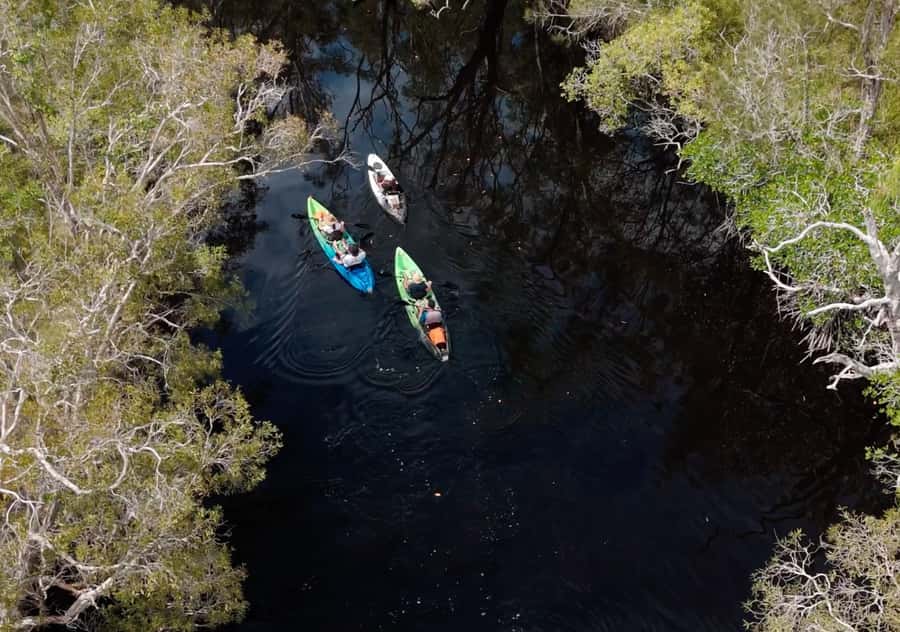 Noosa: Noosa Everglades and Stingray Sanctuary Kayak Tour - Starting Near Noosa, At Lake Weyba