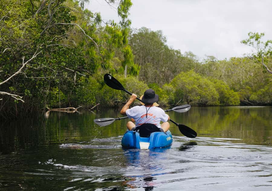 Noosa: Noosa Everglades and Stingray Sanctuary Kayak Tour - Paddling The Southern Noosa Everglades