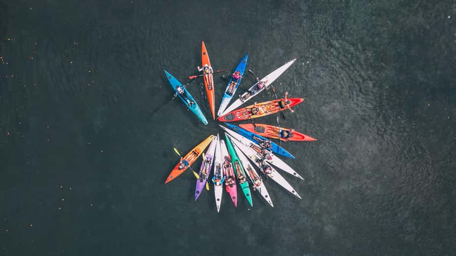 Noosa River: Mangroves and Mansions Guided Kayak Tour - Key points at a glance