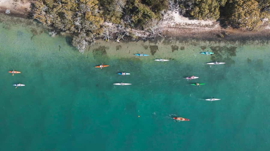 Noosa River: Mangroves and Mansions Guided Kayak Tour - Getting comfortable in a sit-on-top kayak