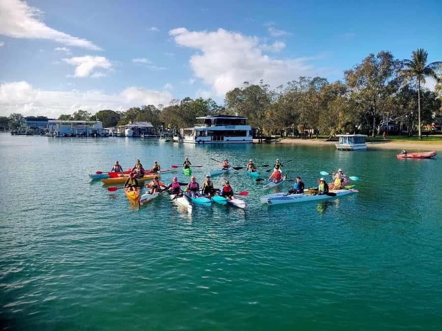 Noosa River: Mangroves and Mansions Guided Kayak Tour - Breaks at Noosa Lions Park