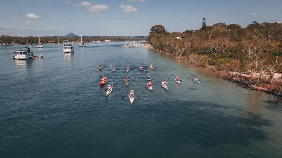 Noosa River: Mangroves and Mansions Guided Kayak Tour - Is $59 fair for two hours?