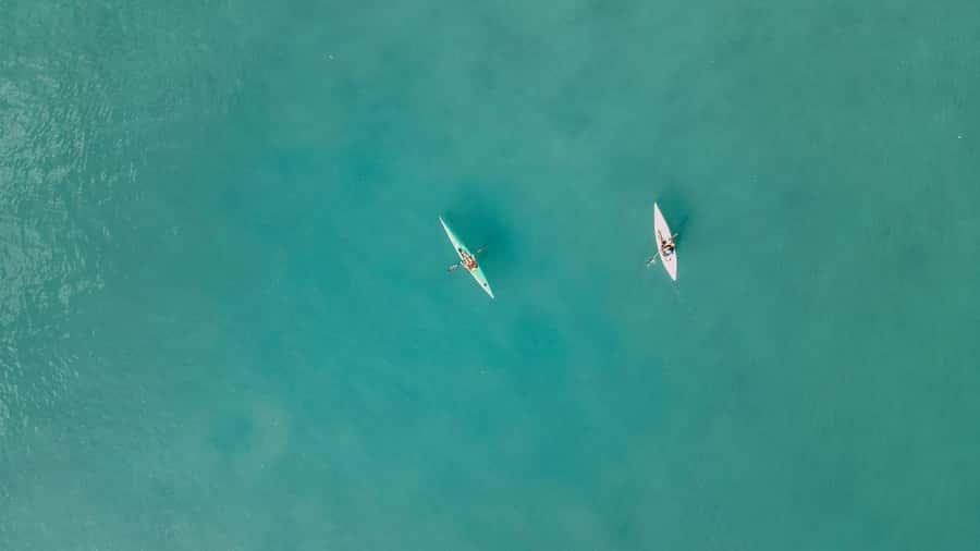 Noosa River: Mangroves and Mansions Guided Kayak Tour - Starting beside The Jetty in Noosaville