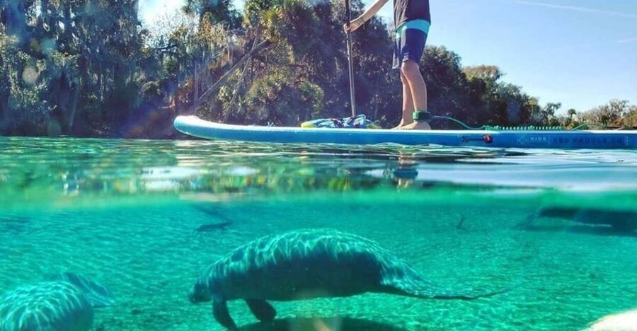 North Miami: Nature & Island Exploration on SUP/Kayak - Key points to know before booking
