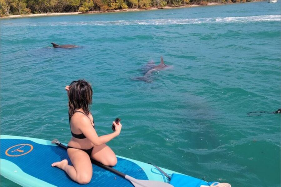 North Miami: Nature & Island Exploration on SUP/Kayak - Why this four-hour trip works in Miami