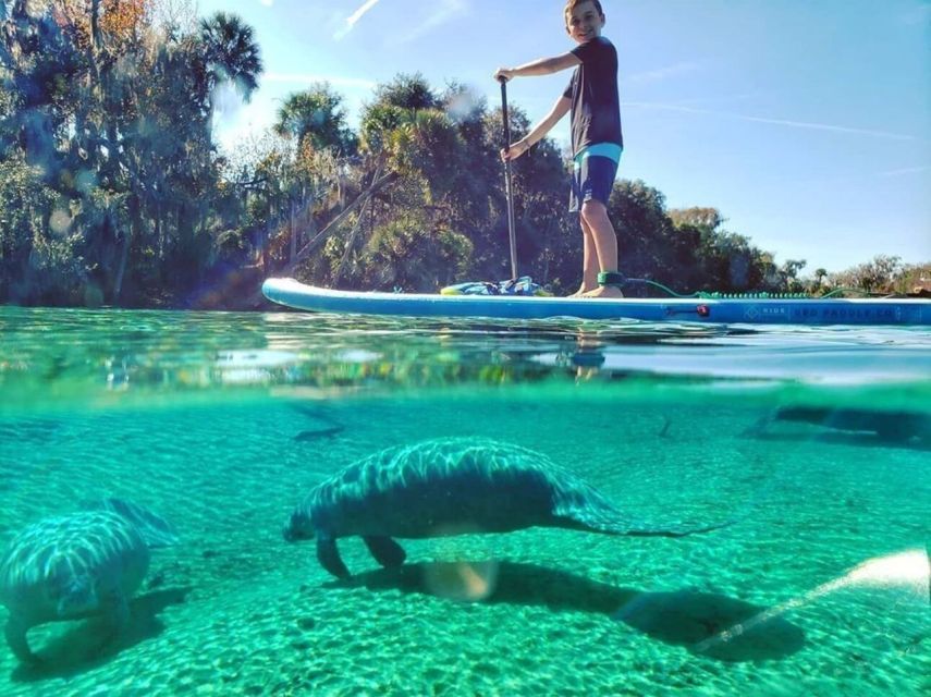 North Miami: Nature & Island Exploration on SUP/Kayak - Choosing between a kayak and a paddleboard