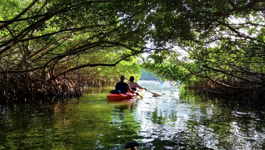North Miami: Nature & Island Exploration on SUP/Kayak - Island stops, swimming, and the snack break