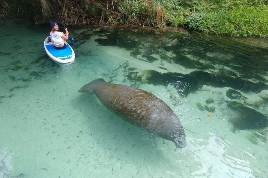North Miami: Nature & Island Exploration on SUP/Kayak - What the guides add to the day