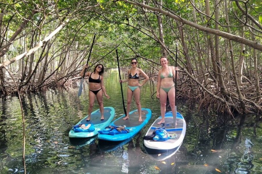 North Miami: Nature & Island Exploration on SUP/Kayak - Weather, timing, and the practical tradeoffs