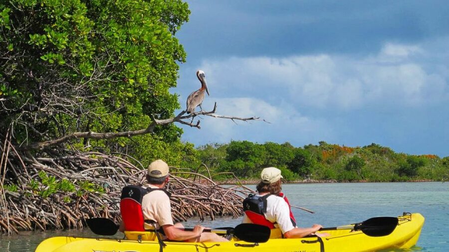 North Miami: Nature & Island Exploration on SUP/Kayak - Finding the blue CATARIA boat at Venetian Marina